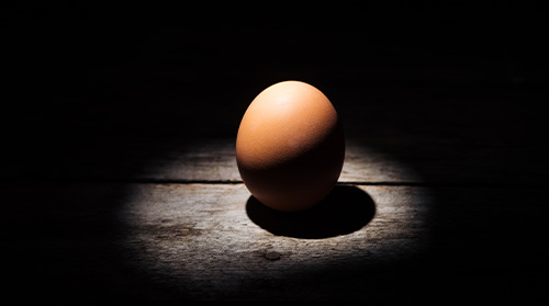 Yumurtanın Sağlığa Olan Faydaları: Protein Deposu ve Daha Fazlası
