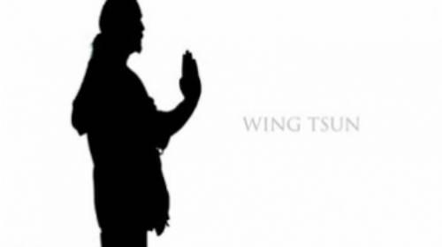Wing Tsun
